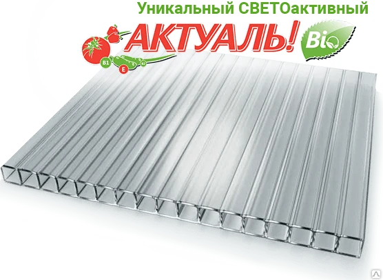 Поликарбонат Актуаль Био Купить В Казани