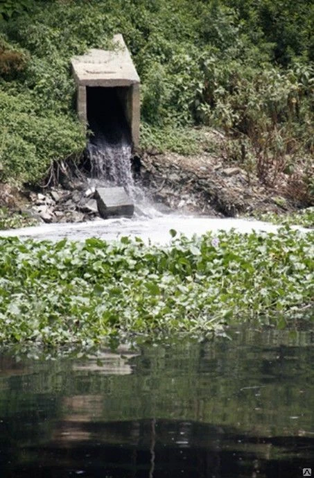 Фото Определение токсичности воды