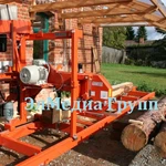 фото Пилорама Wood-Mizer LT15-power