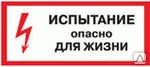 Фото Этикетка самоклеящаяся 150х300 мм, символ "Испытание, опасно для жизни" Т-1