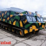 фото Гусеничный болотоход Витязь дт-30П