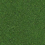 фото Линолеум бытовой IVC NEO Grass 25, 3м