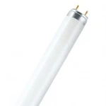 фото Лампа люминесцентная 36 Вт Osram Basic L36W/765(54) 1200mm (Смоленск)