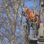 фото Сдам от собственника Иван