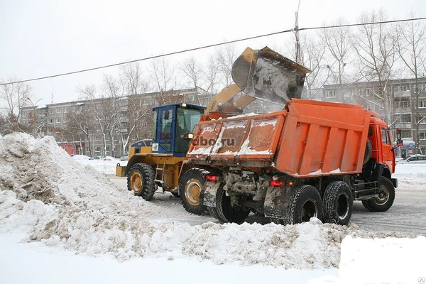 Фото Вывоз снега