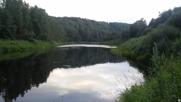 Фото Пруд пластиковый или Природный водоем!