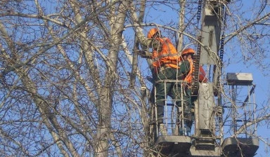 Фото Сдам от собственника Иван