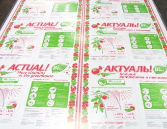 Фото Поликарбонат 2100х6000х4мм (прозрачный) АктуальBIO СафПласт, 0,6кг/м2