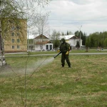 фото Акарицидные (противоклещевые) мероприятия