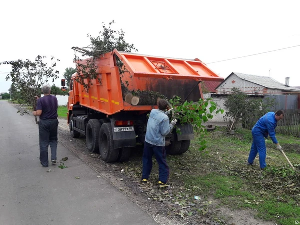 Фото Вывоз веток, деревьев и поросли