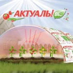 фото Сотовый поликарбонат 2100х12000х8мм (прозрачный) АктуальBIO СафПласт 1,17кг/м2