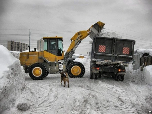 Фото Снегоуборочный погрузчик 3CX в аренду