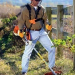 фото Аренда Мотокосы STIHL FS 250