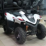 фото Квадроцикл STELS ATV 100RS