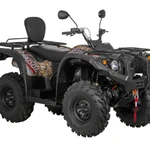 фото Квадроцикл BALTMOTORS ATV 700 EFI