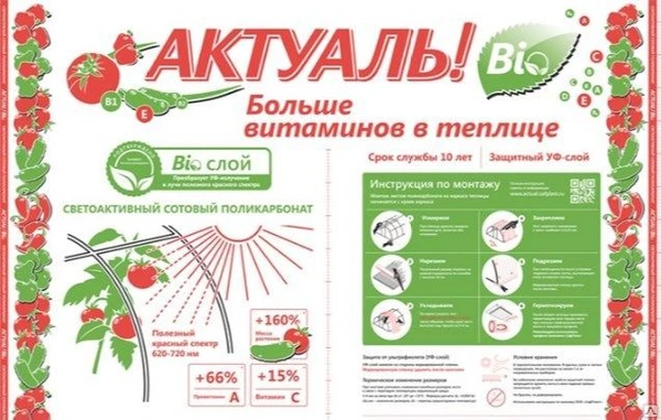 Фото Поликарбонат сотовый 4мм Actual Bio