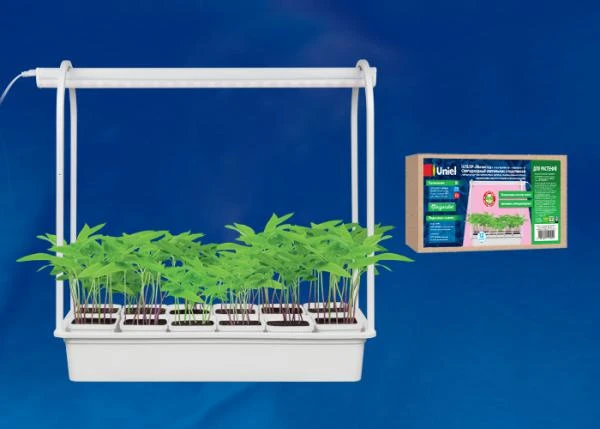 Фото Светильник ULT-P34-10W/SPLE IP40 WHITE 12 Набор «Минисад», светильник для растений светодиодный с подставкой. Спектр для фотосинтеза. 12 кашпо в/к, белые. TM Uniel.