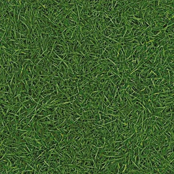 Фото Линолеум бытовой IVC NEO Grass 25, 2.5м