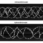 Фото №2 Колючая проволока СББ АКЛ 500/62/5