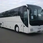 фото Автобус MAN Lion's COACH R 07