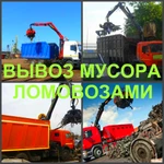 Фото №4 Вывоз мусора, вывезти мусор Воронеж.