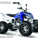 фото Квадроцикл PANTERA 250 SUPER SPORT