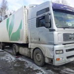 фото MAN TGA 460 л. с. 2004 г. в + Реф. Шмитц