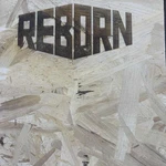 фото OSB REBORN 9мм 1250*2500