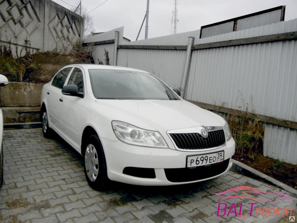 Фото Аренда автомобиля Skoda Octavia