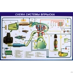 фото Стенд-планшет "Схема системы впрыска", кат.В