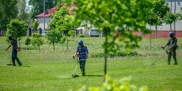 Фото Покос травы