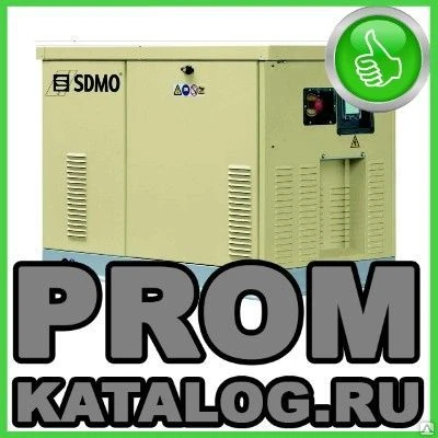 Фото Газовые электростанции (газовые генераторы) SDMO