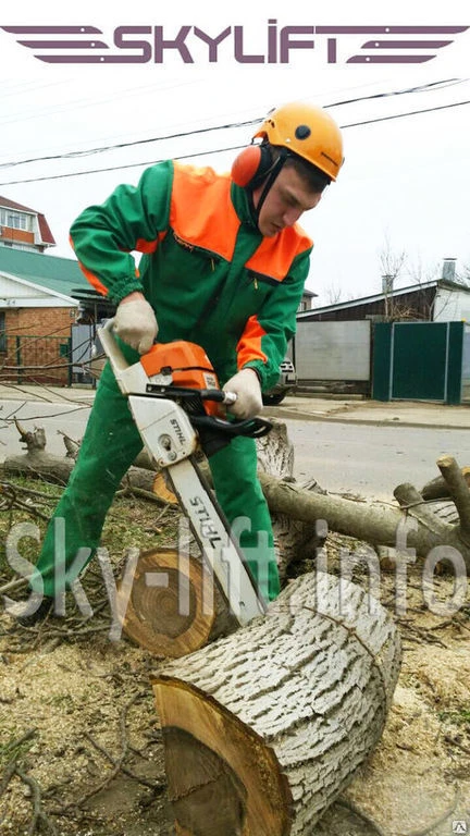 Фото Спил и обрезка деревьев по городу и краю