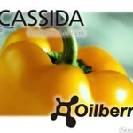 фото CASSIDA FLUID RC 220 Масло пищевое для ротационных печей и стерилизаторов