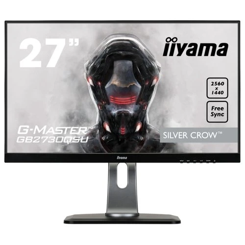 Фото Монитор Iiyama G-Master