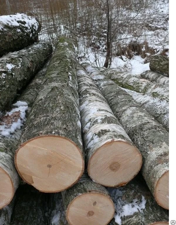 Фото Круглая береза для шахт Logs of birch for mine
в