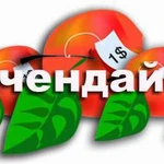 фото Мерчендайзер