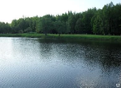 Фото Откачка воды. Осушение водоемов и болот. Водопонижение