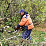 фото Покос, уборка, расчистка, вывоз мусора в СПб