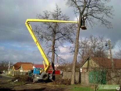 Фото Спил деревьев