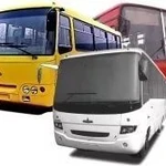 фото Замок-фиксатор багажника большой MB/Setra 3027580050.