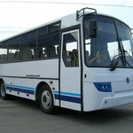 фото Автобус КАВЗ 4238-45 "Аврора" "школьный"