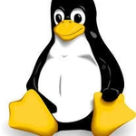 фото Установка операционной системы Linux совместно с Windows