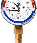 фото Термоманометр ТМТБ-31Р.1 (0.. 120°С, 0.. 1,0 МПа G 1/2 2,5)