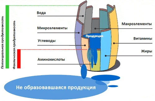 Фото Ольга