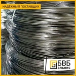 фото Проволока ниобиевая ASTMB392