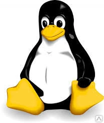 Фото Установка операционной системы Linux совместно с Windows