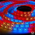 фото Светодиодная лента GLANZEN LS-3528-4.8W-IP65-RGB 5м (цветная)