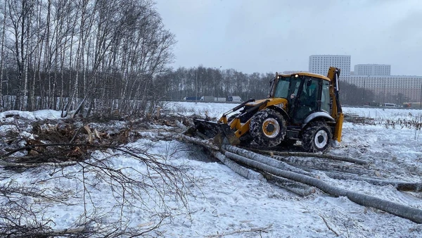 Фото Выкорчёвываем пни с утилизацией