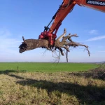 фото Долговечный корчеватель для пней и деревьев